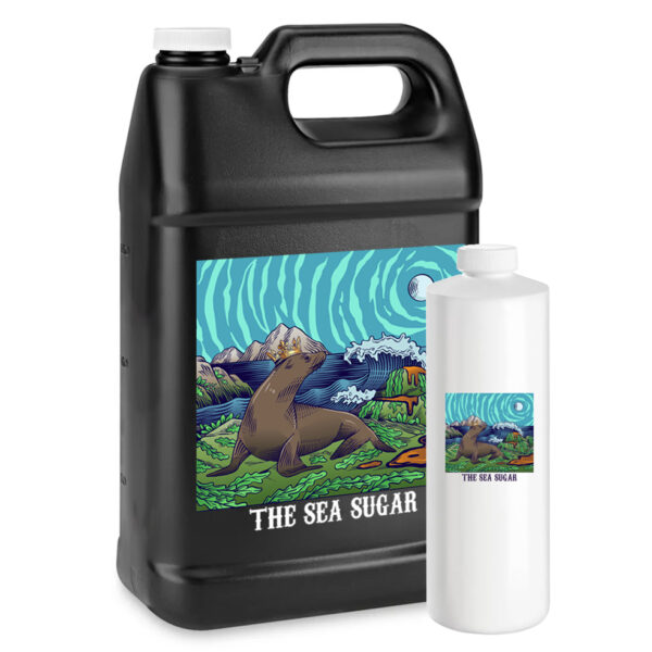 Shop2 seasugar 16 25