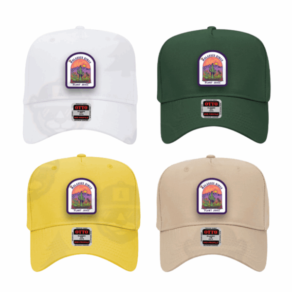 Shop2 baseball hats