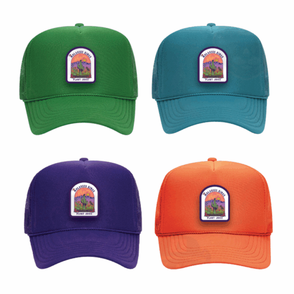 Shop2 foam dome hats